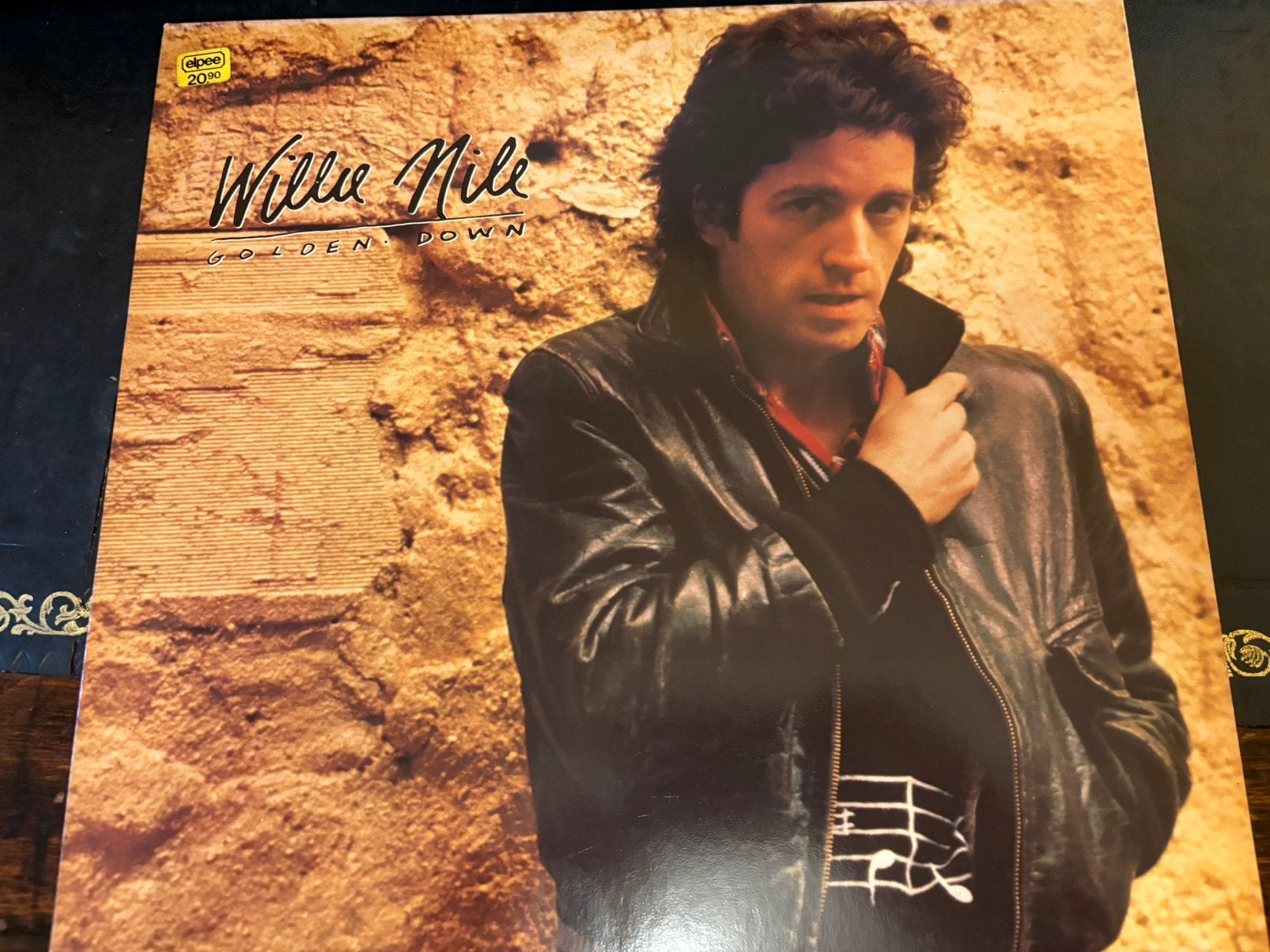 LP Willie Nile - Golden down, LP, Ophalen of Verzenden, Zo goed als nieuw, 12 inch