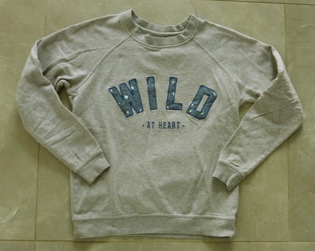Blake Seven Sweater, Blake Seven, Ophalen of Verzenden, Zo goed als nieuw, Lange mouw