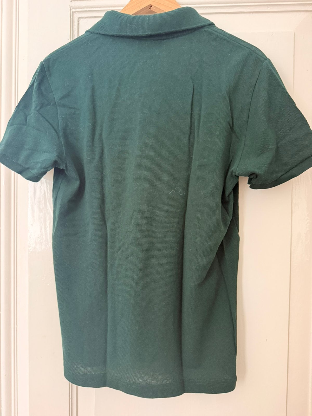 Poloshirt merk lacoste, Kleding | Heren, Ophalen, Zo goed als nieuw, Maat 48/50 (M), Groen