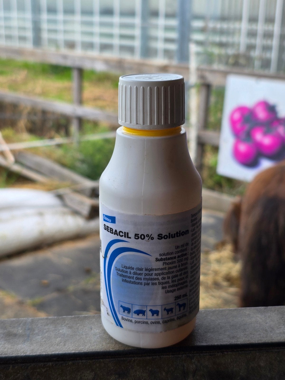 Sebacil 50% solution 250ml flesje bijna vol, Ophalen, Zo goed als nieuw, Insectenbescherming