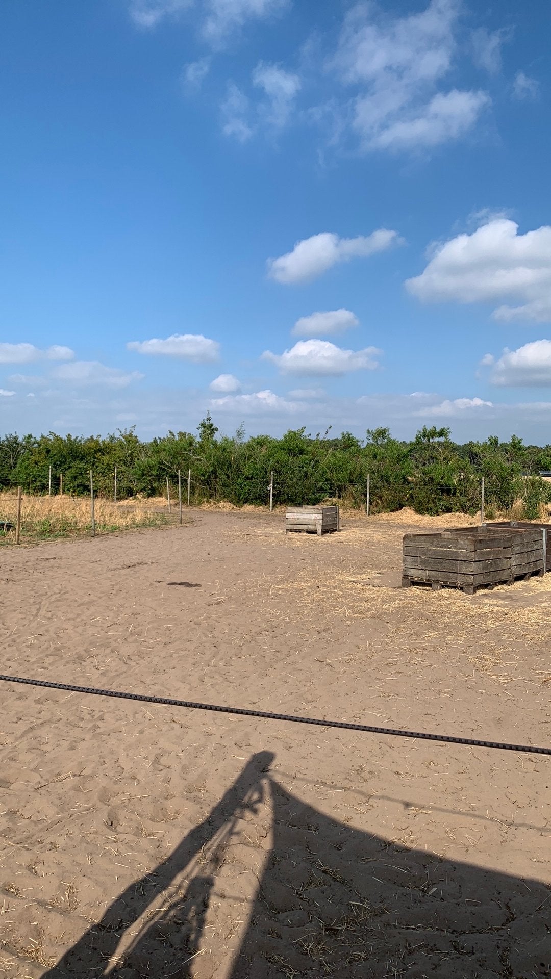 Wekelijkse stalhulp gezocht voor paddock paradise in Rucphen, Verzorging of Verzorgpony's