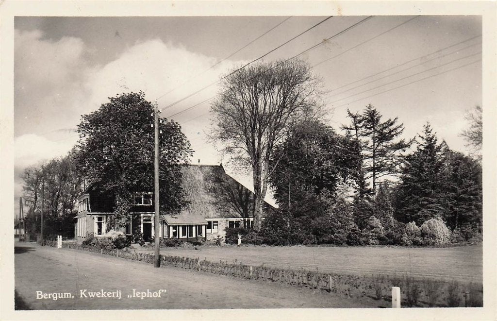 703-028-025 Bergum Kwekerij Iephof, Verzenden, Voor 1920, Friesland