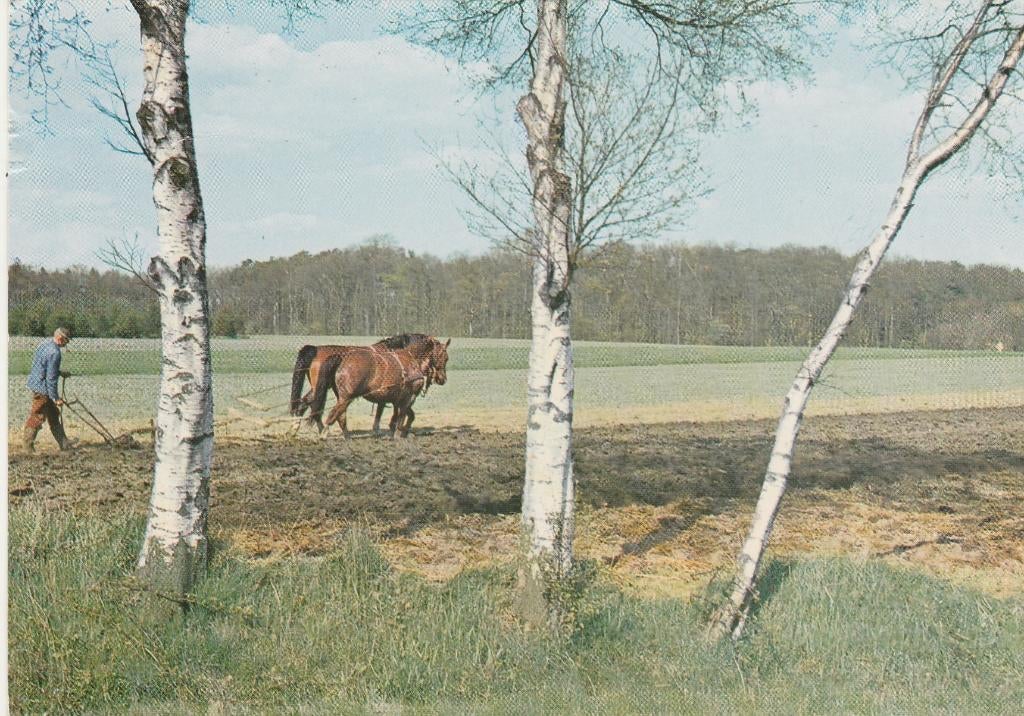 APELDOORN Ploegen met Paarden, Verzenden, 1960 tot 1980, Ongelopen, Gelderland