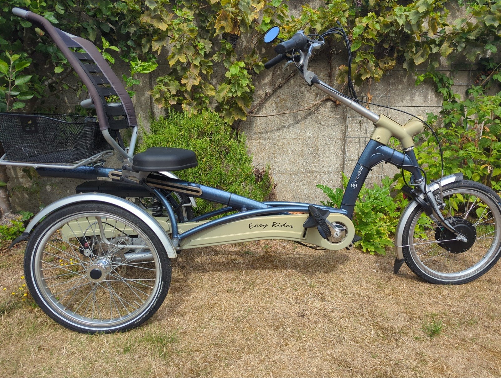 Van Raam Easy Rider driewieler met elektrische ondersteuning, Ophalen of Verzenden