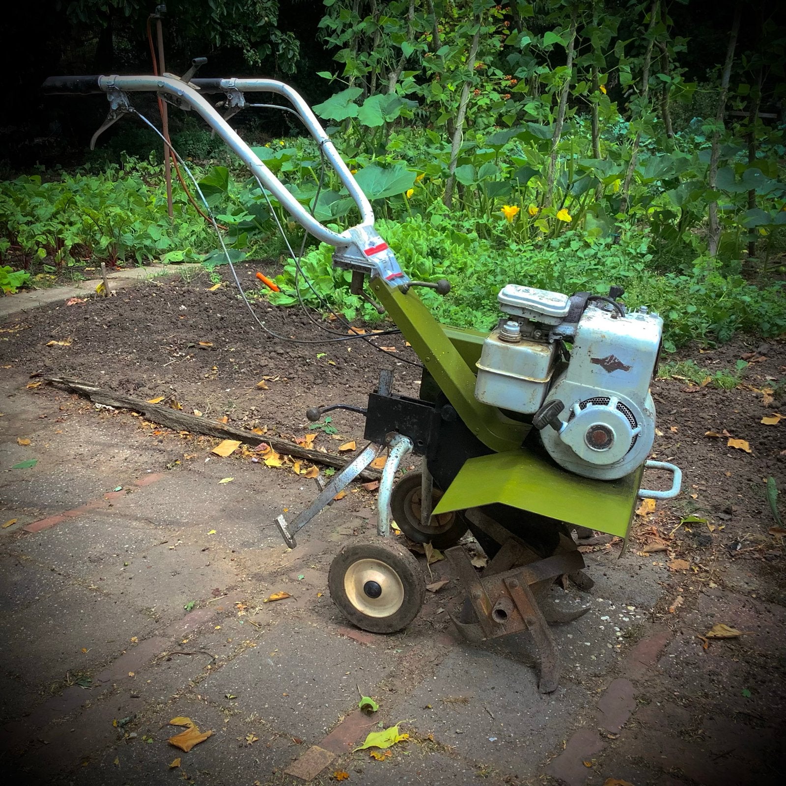 Tuinfrees / grondfrees voor tuinwerk, Ophalen, Gebruikt