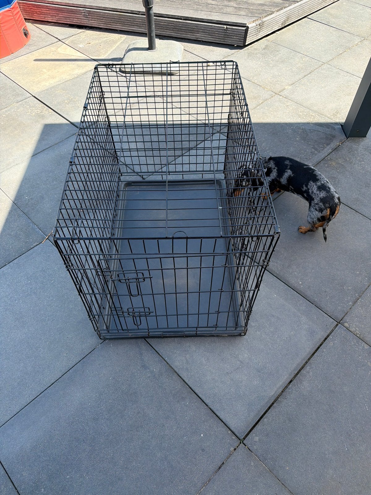 Honden bench, Ophalen, Zo goed als nieuw
