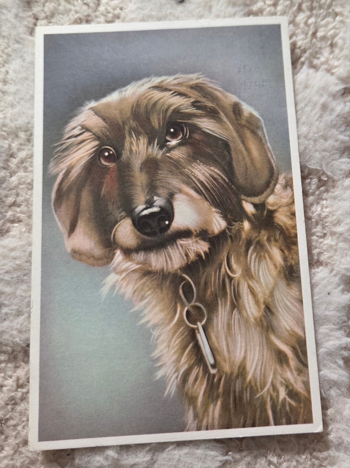 Oude ansichtkaart: Teckel met sleutel, gestempeld 1957, Verzenden, 1940 tot 1960, Gelopen, Hond of Kat