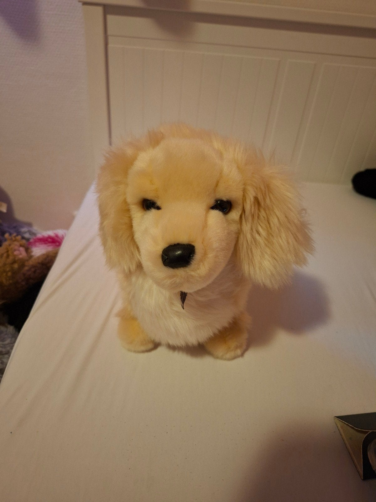 Douglas dog haisley, helemaal nieuw!, Ophalen of Verzenden, Nieuw, Hond