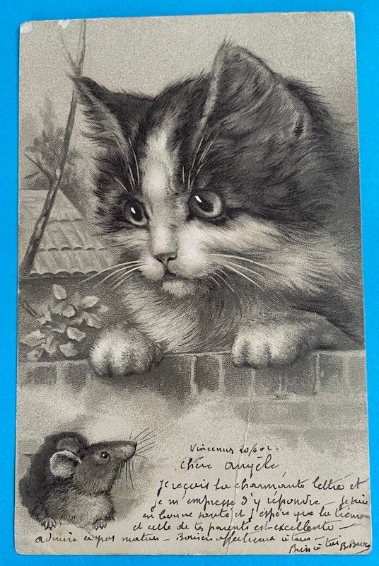 1902 relief kaart kat bespiedt muis poesje, Ophalen of Verzenden, Voor 1920, Gelopen, Overige thema's