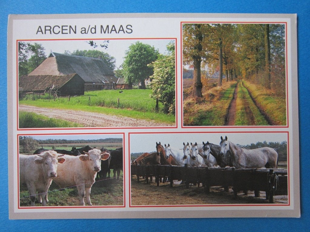 Ansichtkaart: Arcen aan de Maas., Ophalen of Verzenden, 1980 tot heden, Gelopen, Limburg