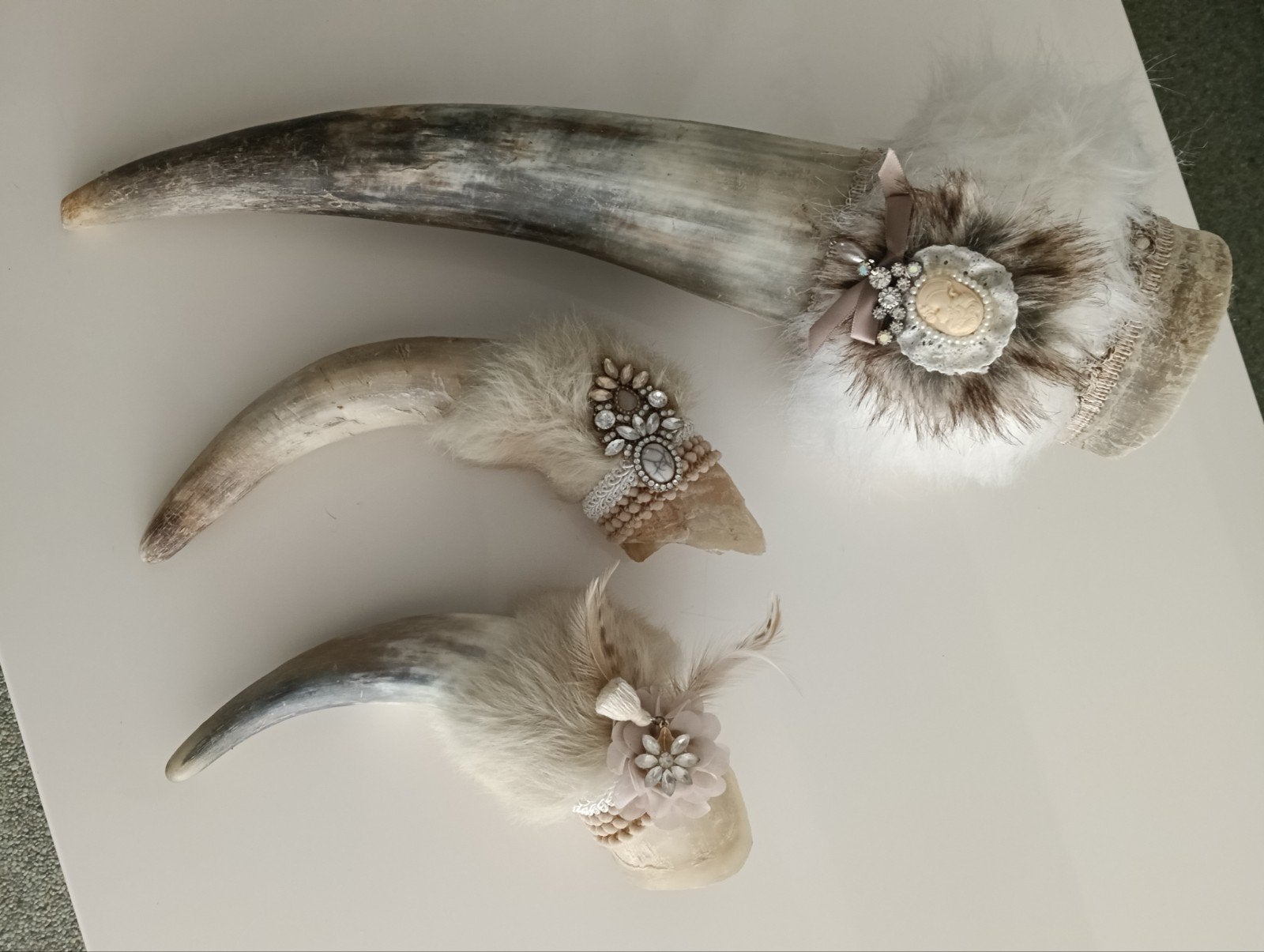 taxidermie 3 hoorns, Ophalen of Verzenden