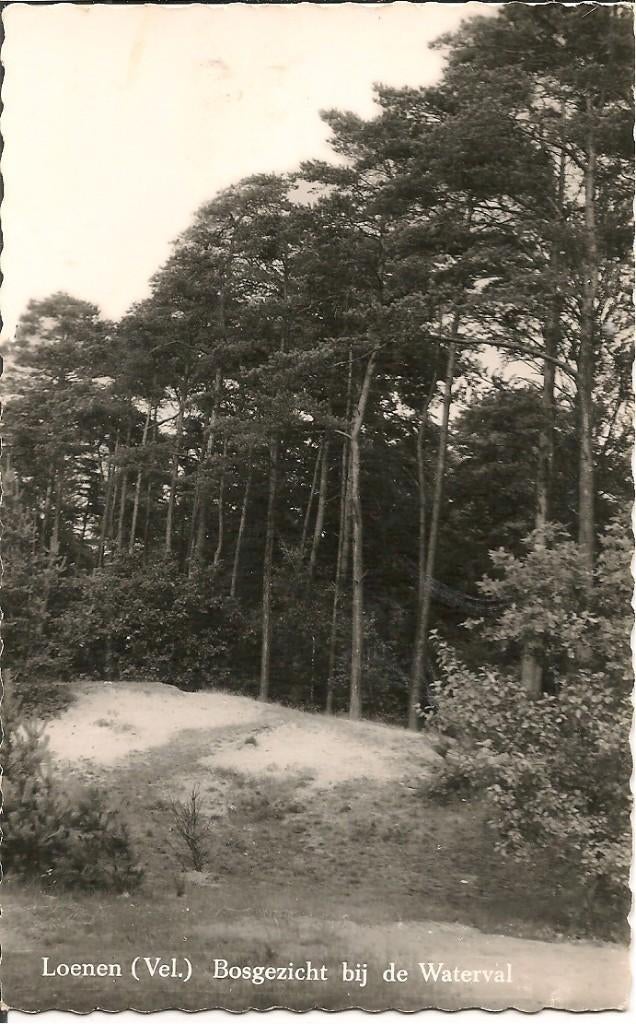 Loenen Bosgezicht bij de Waterval., Ophalen of Verzenden, 1960 tot 1980, Gelopen, Gelderland