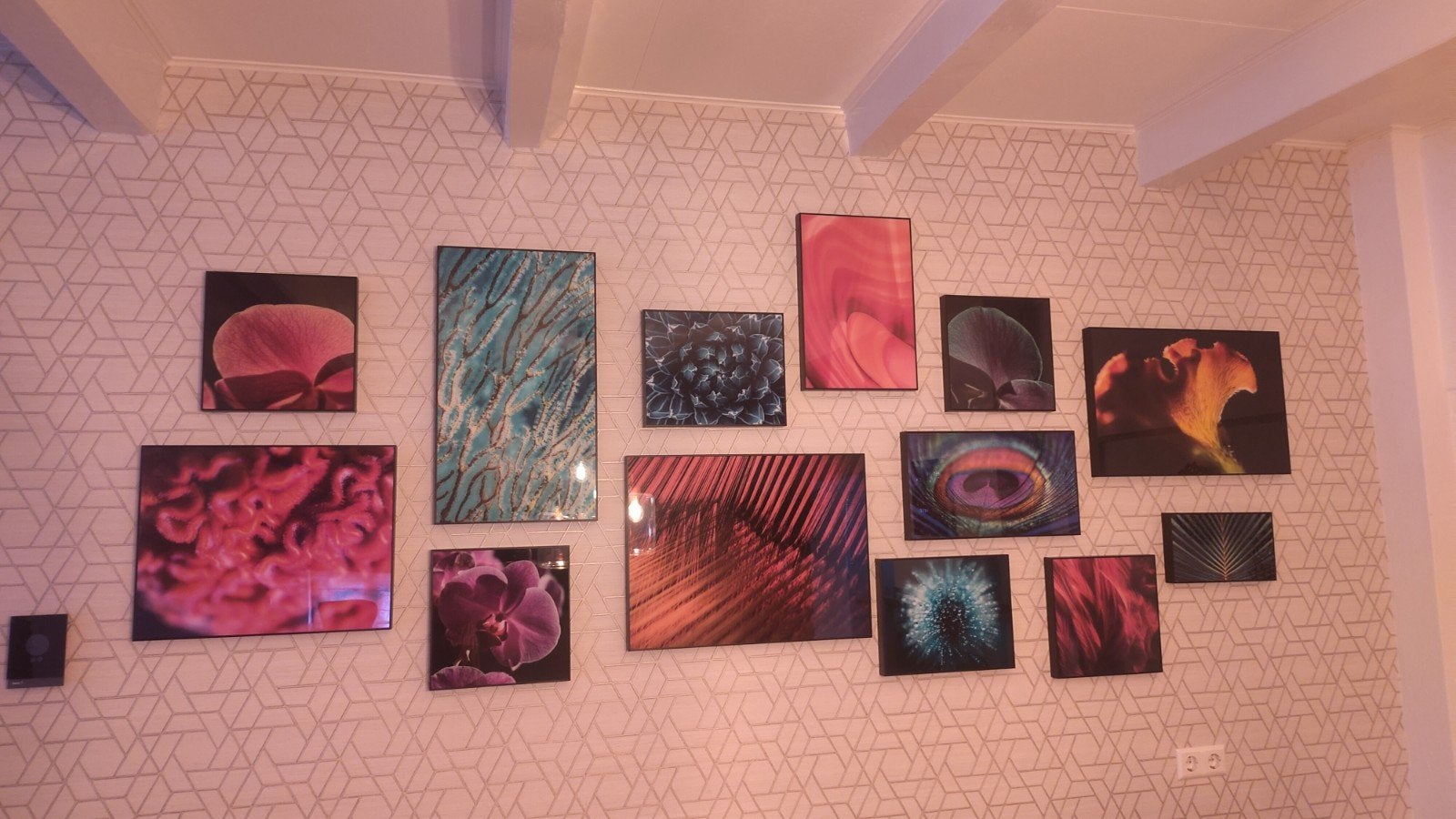 Abstracte Botanische Fotopanelen - HD-aluminium Collage, Huis en Inrichting, Ophalen, Nieuw, 100 tot 125 cm, Foto of Poster