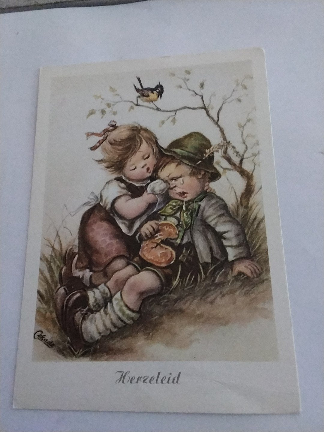 Vintage Ansichtkaart: 'Herzeleid' - Cekade, Ophalen of Verzenden, 1960 tot 1980