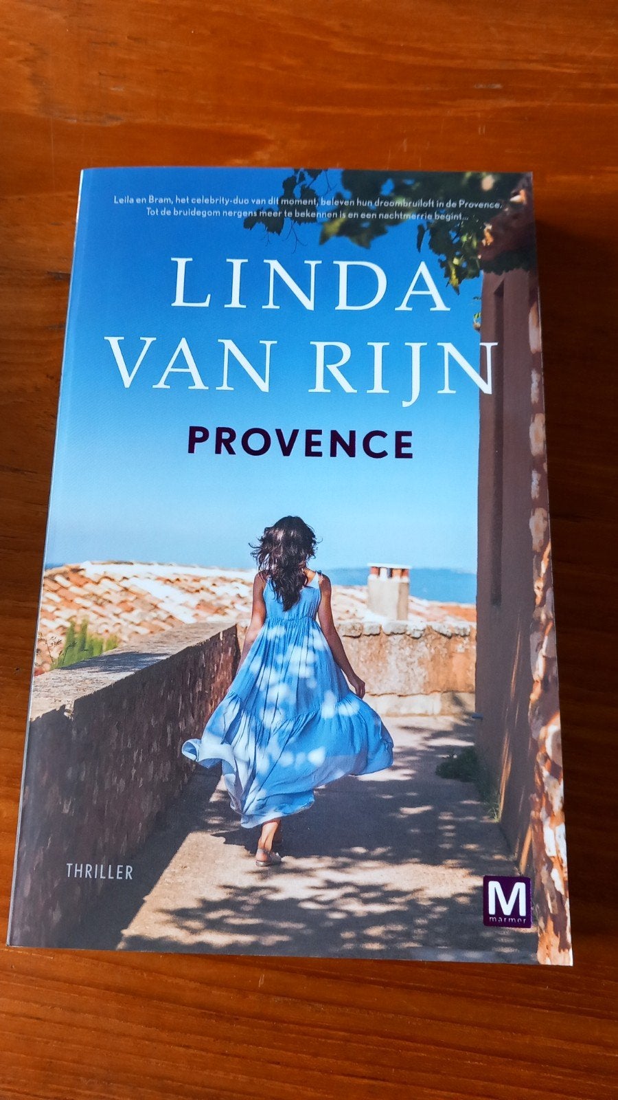 Linda van Rijn - Provence, Boeken, Thrillers, Zo goed als nieuw, Ophalen of Verzenden