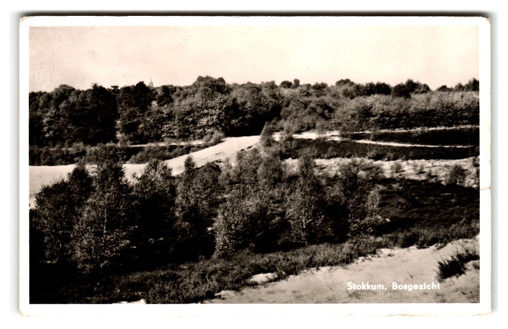 Stokkum, Bosgezicht, Ophalen of Verzenden, 1940 tot 1960, Gelopen, Gelderland