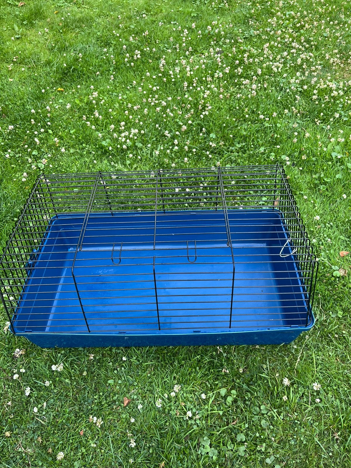 Konijn of caviakooi, Dieren en Toebehoren, Knaagdieren en Konijnen | Hokken en Kooien, Minder dan 60 cm, Kooi, Ophalen of Verzenden
