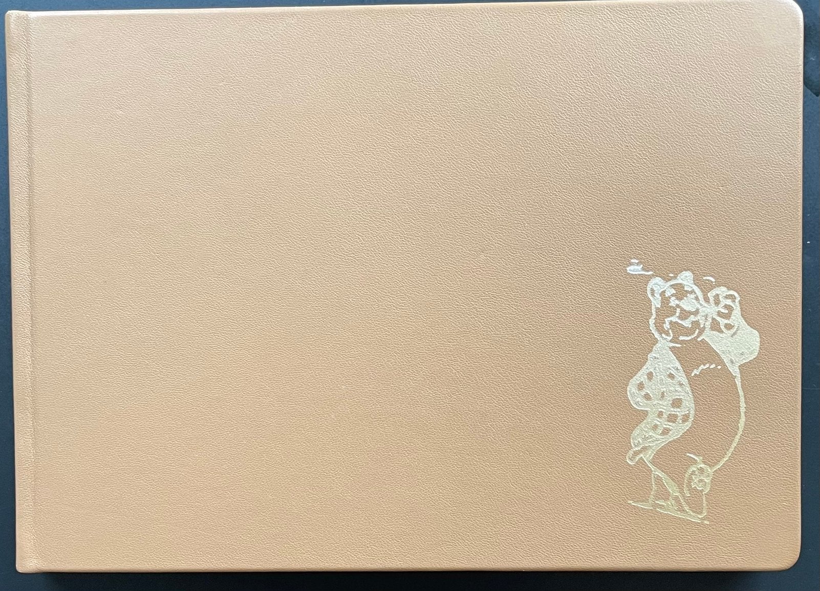 Fryske / friese stripboeken: De fleurige utkyk, Meerdere stripboeken, Ophalen of Verzenden, Zo goed als nieuw