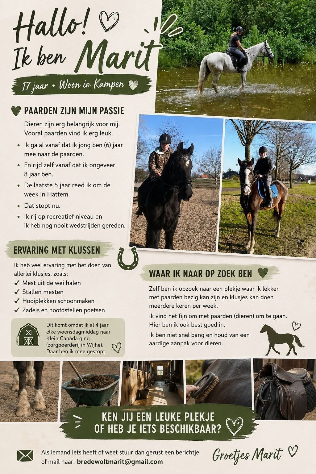 verzorgpony gezocht, Ophalen