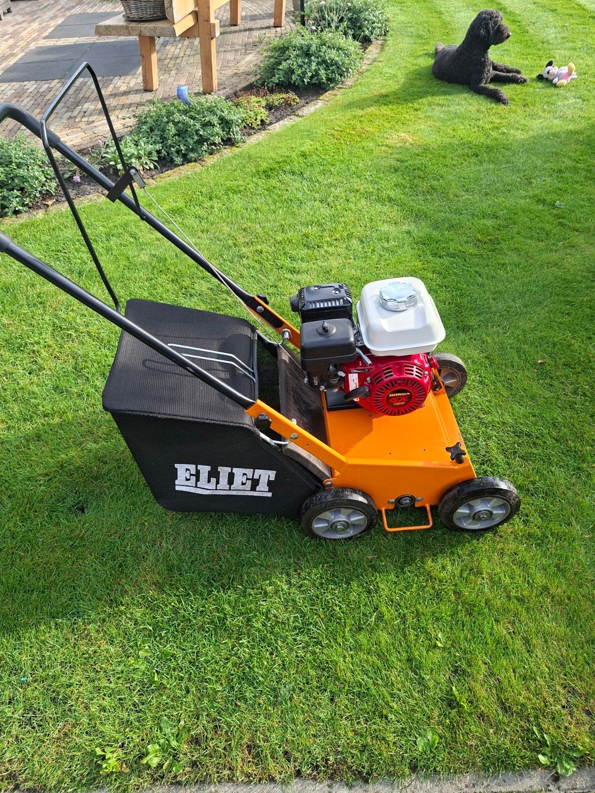 Eliet verticuteer machine met nieuwe Honda motor, Tuin en Terras, Ophalen, Zo goed als nieuw, Benzine, Eliet / Honda