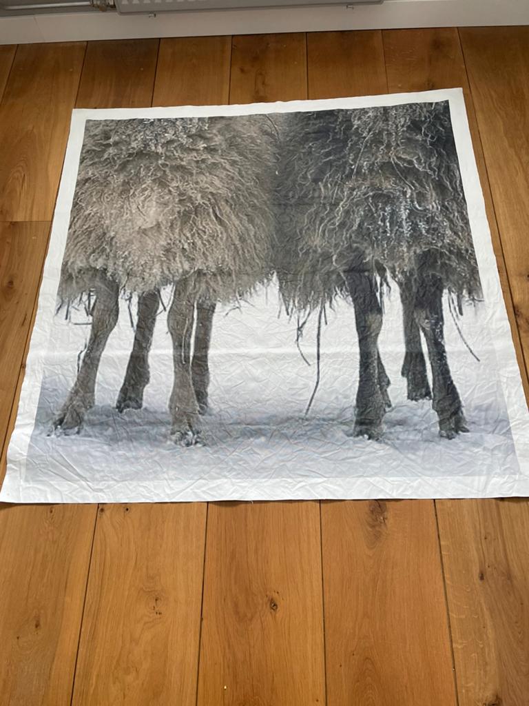 Wollige schapenvachten - Unieke wandkleed met karakter, Gebruikt, Ophalen of Verzenden, 75 tot 100 cm, Foto of Poster