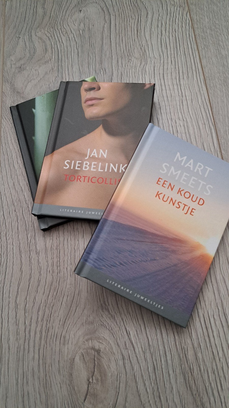 Literaire juweeltjes., Ophalen, Zo goed als nieuw