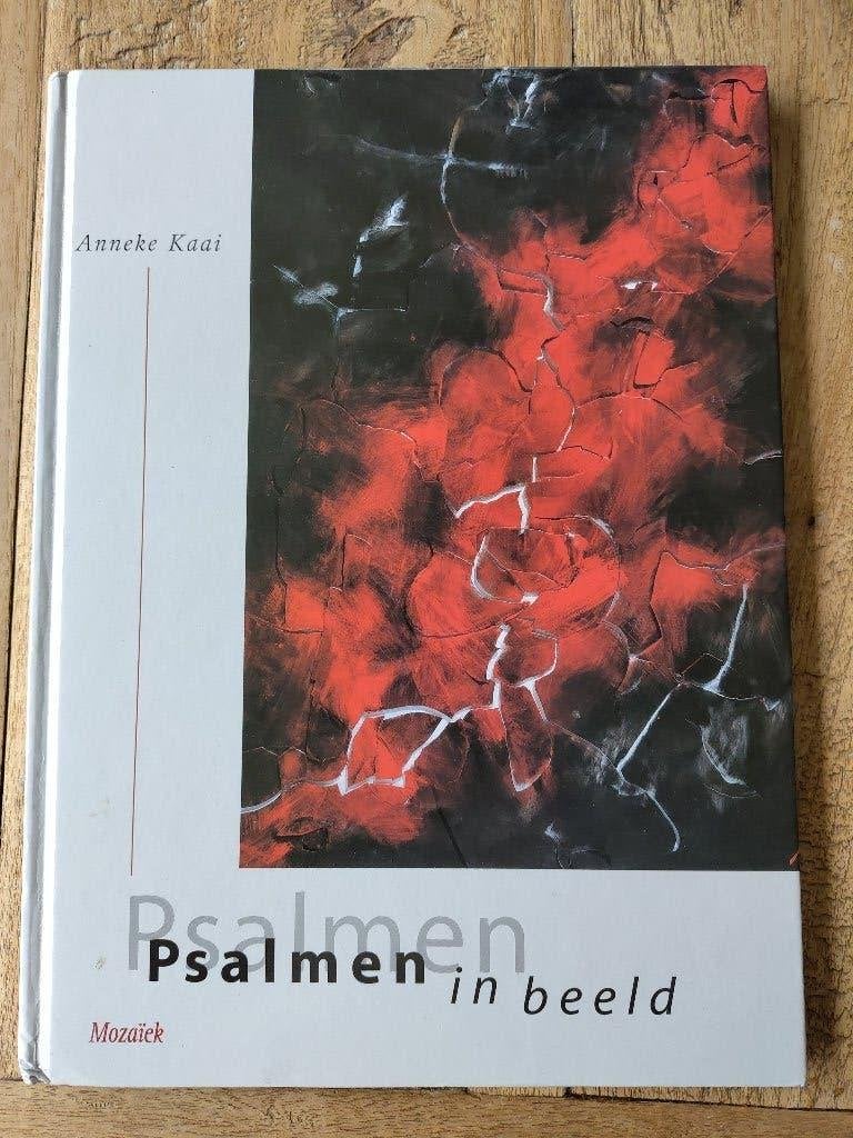 Kijkboek, schilderijen Anneke Kaai (de Psalmen), Gelezen, Ophalen of Verzenden, Zie beschrijving, Schilder- en Tekenkunst