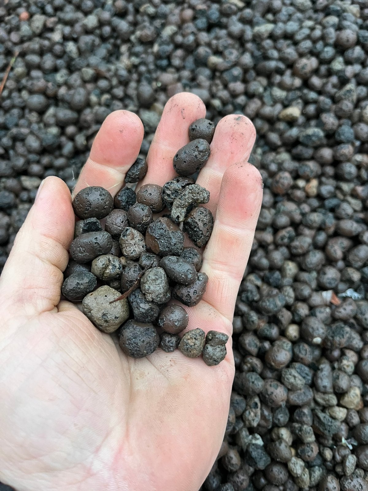 Hydrokorrels in kuubs big bag, Tuin en Terras, Grind, Keien en Split, Ophalen, Nieuw