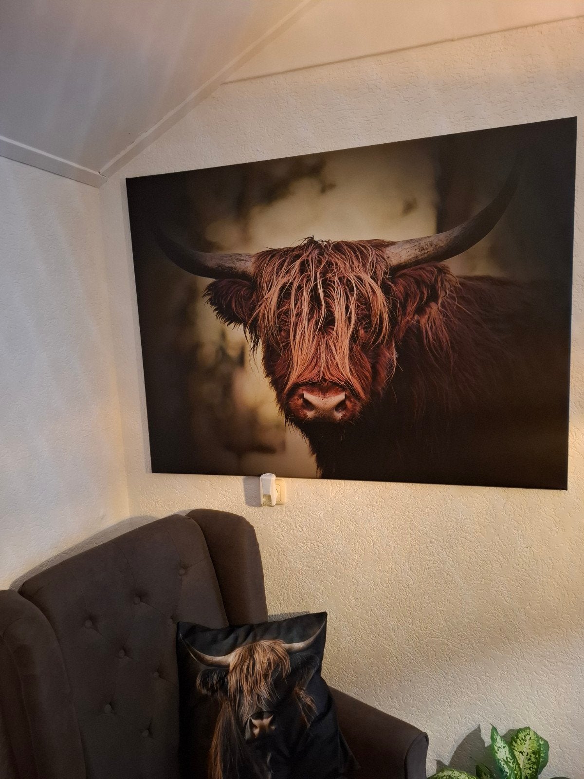 Canvas schilderij Schotse Hooglander 120x80 cm, Ophalen, Zo goed als nieuw, Schilderij, 100 tot 125 cm