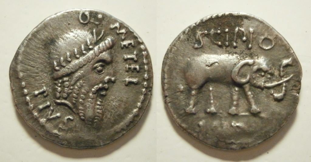 Romeinse Republiek - 47/6 BC - Metellus Scipio AR Denarius, Ophalen of Verzenden, Italië, Losse munt, Zilver