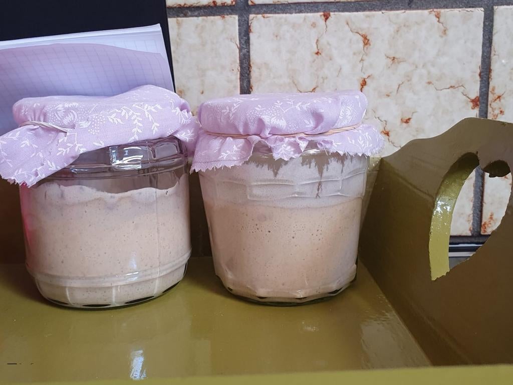 Biologische zuurdesem starter, Ophalen of Verzenden, Bakvorm
