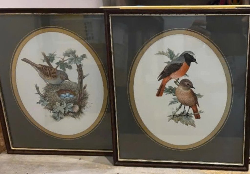 Twee schilderijen van vogels (haagvogel en roodstamper), Antiek en Kunst, Ingelijst, Dieren, Ophalen of Verzenden, Tekening