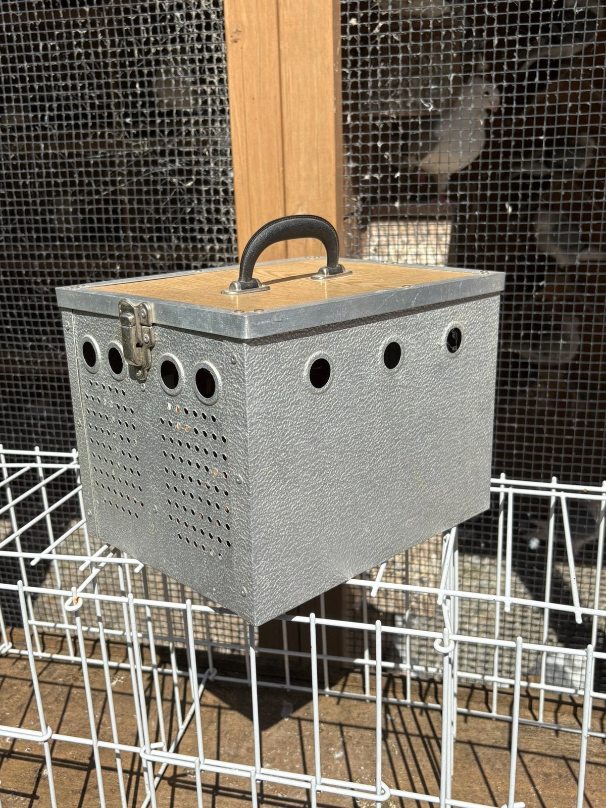 2 vaks aluminium duivenmandje Sierduiven Postduiven, Ophalen of Verzenden, Gebruikt, Overige typen