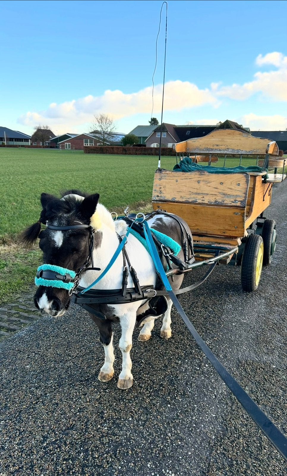 Pony kar - te koop, Ophalen, Zo goed als nieuw