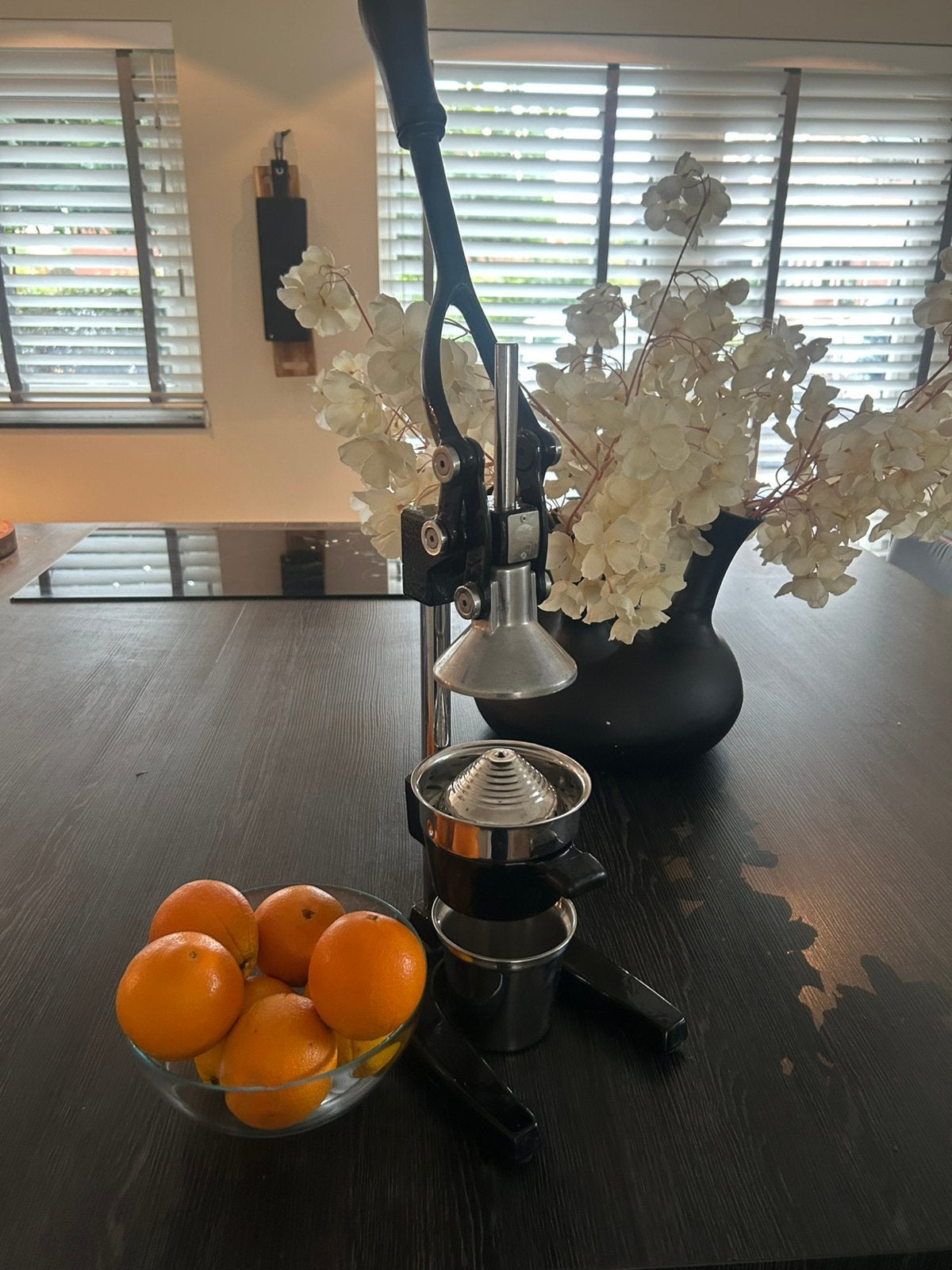 Professionele hefboom sinasappelpers van hadarit, Witgoed en Apparatuur, Ophalen, Zo goed als nieuw, Handmatig, Citruspers