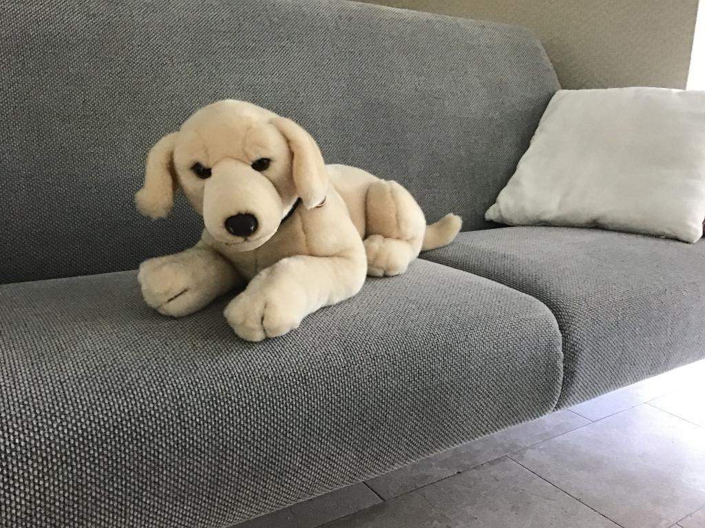 Knuffel hond, Ophalen of Verzenden, Zo goed als nieuw, Hond, Middelgroot (20 tot 80 cm)