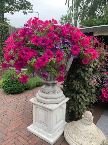 Grote pot op voet, 42 cm hoog, Tuin en Terras, Ophalen, Gebruikt, 40 cm of meer, Rond