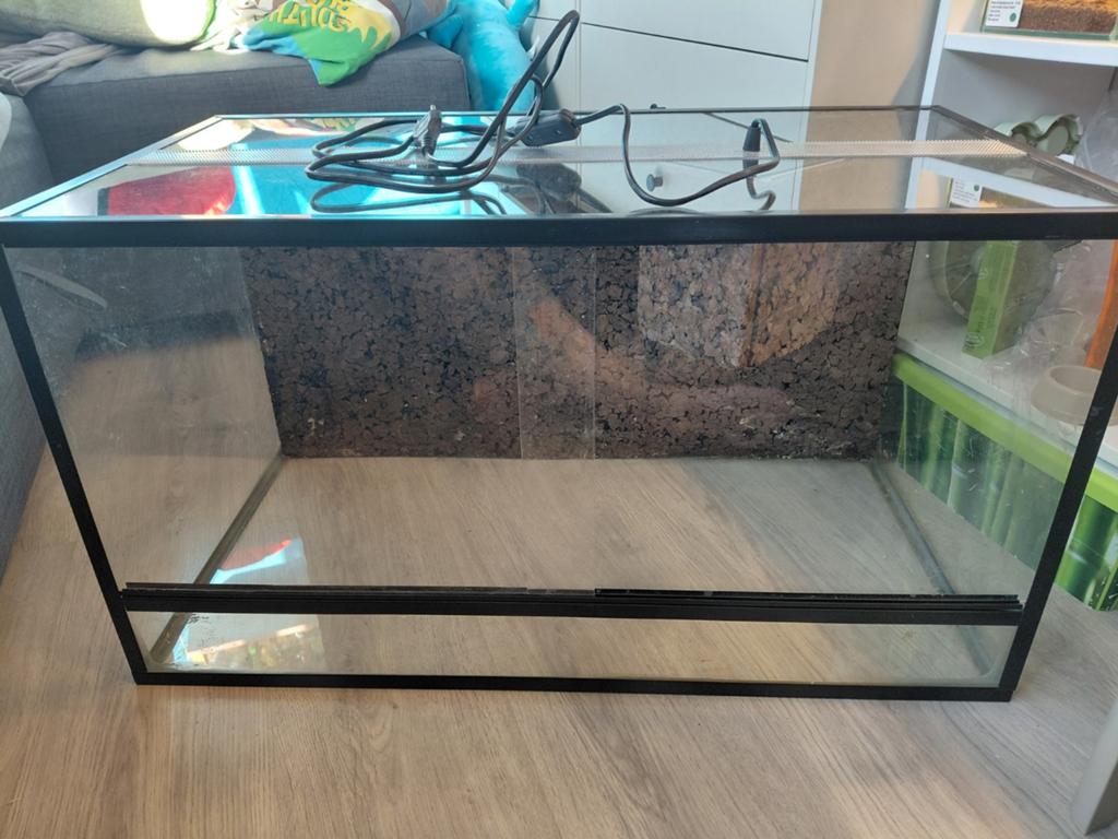 Terrarium, Ophalen