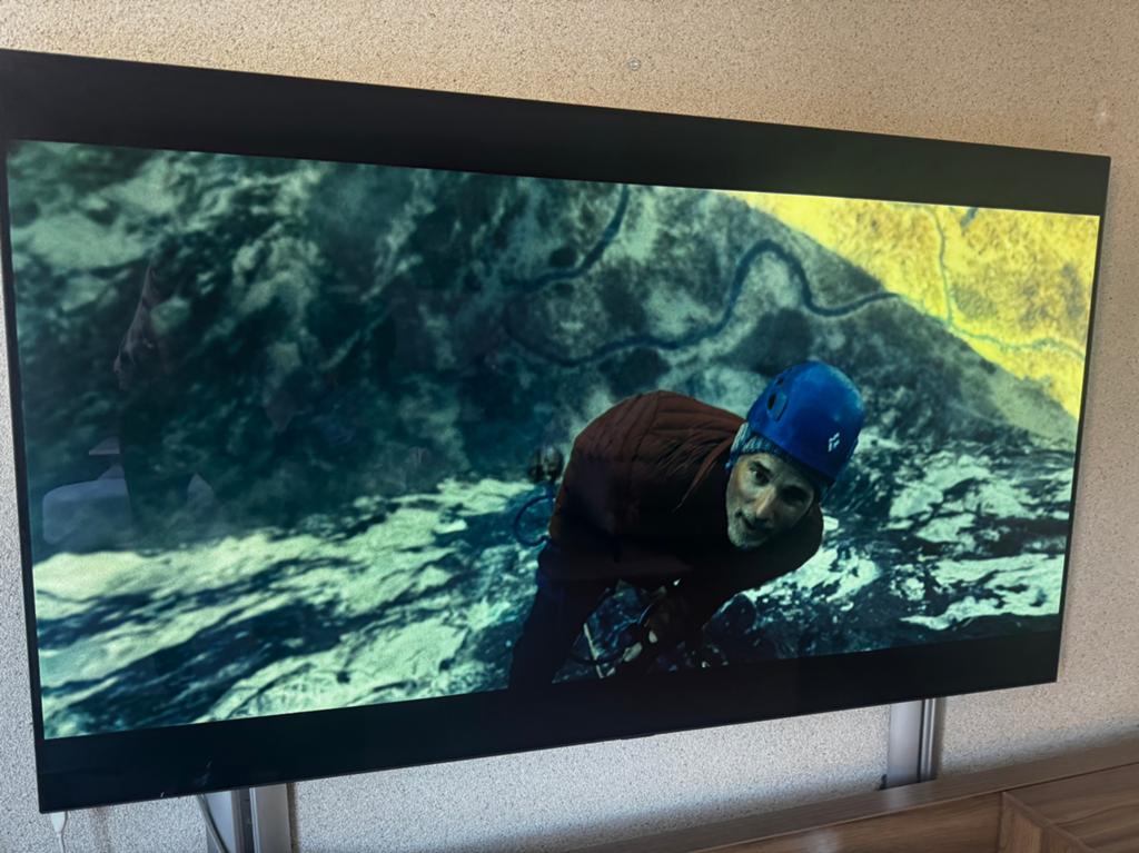 LG 65 inch OLED TV (4K/HDR), Ophalen, Gebruikt, 100 cm of meer, 4k (UHD)