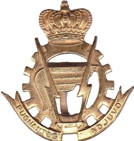 MILITAIRE INSIGNE, Ophalen of Verzenden, Overige materialen