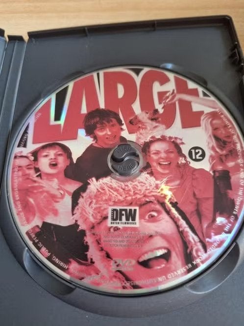 Dvd large hh, Vanaf 12 jaar, Ophalen of Verzenden, Zo goed als nieuw, Romantische komedie