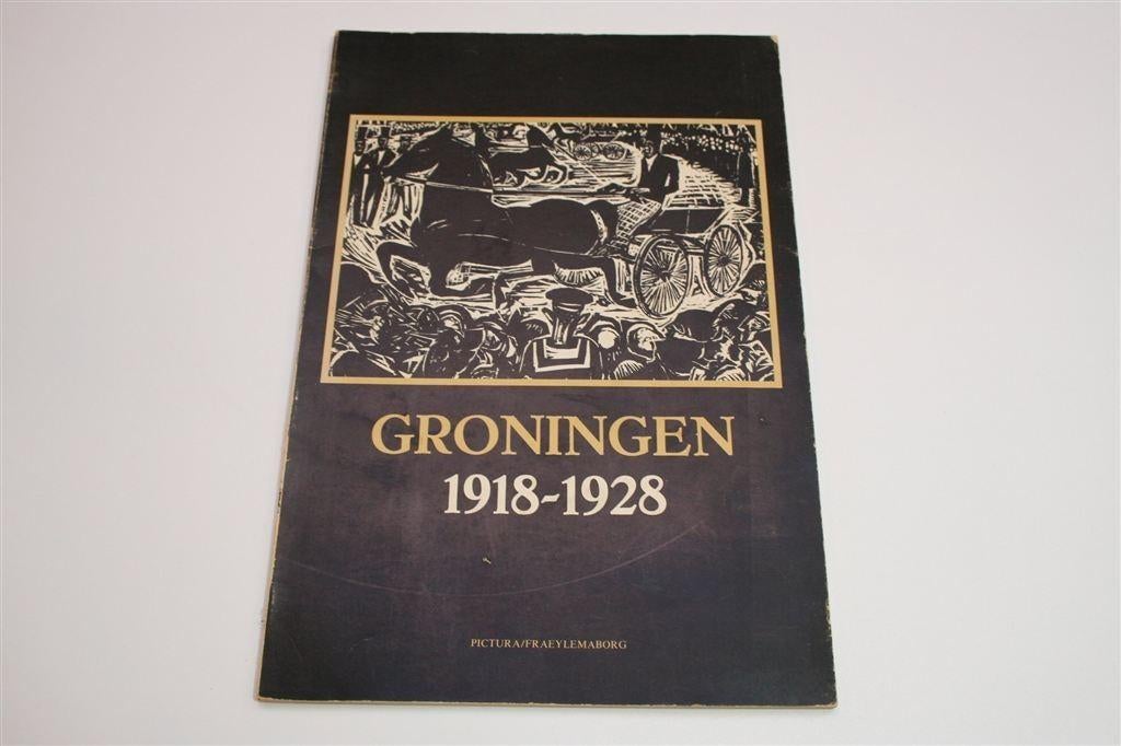 Groningen 1918-1928 — Catalogus Pictura & Fraeylemaborg, Ophalen of Verzenden, Gelezen