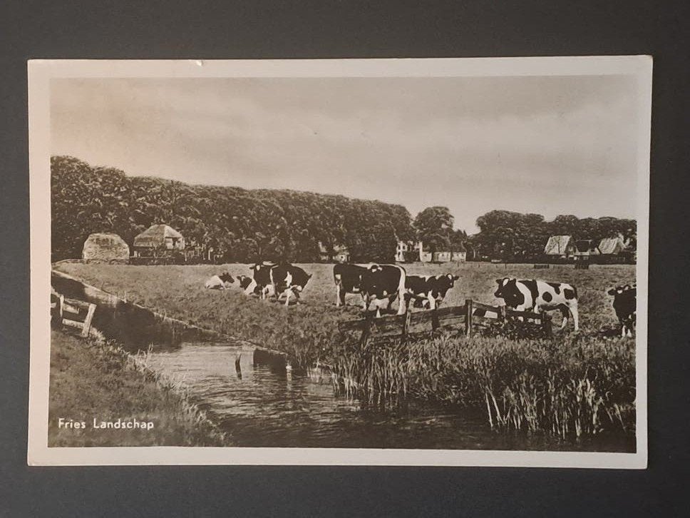 Boerenleven Friesland Fries Landschap 1948, Verzenden, 1940 tot 1960, Gelopen, Friesland