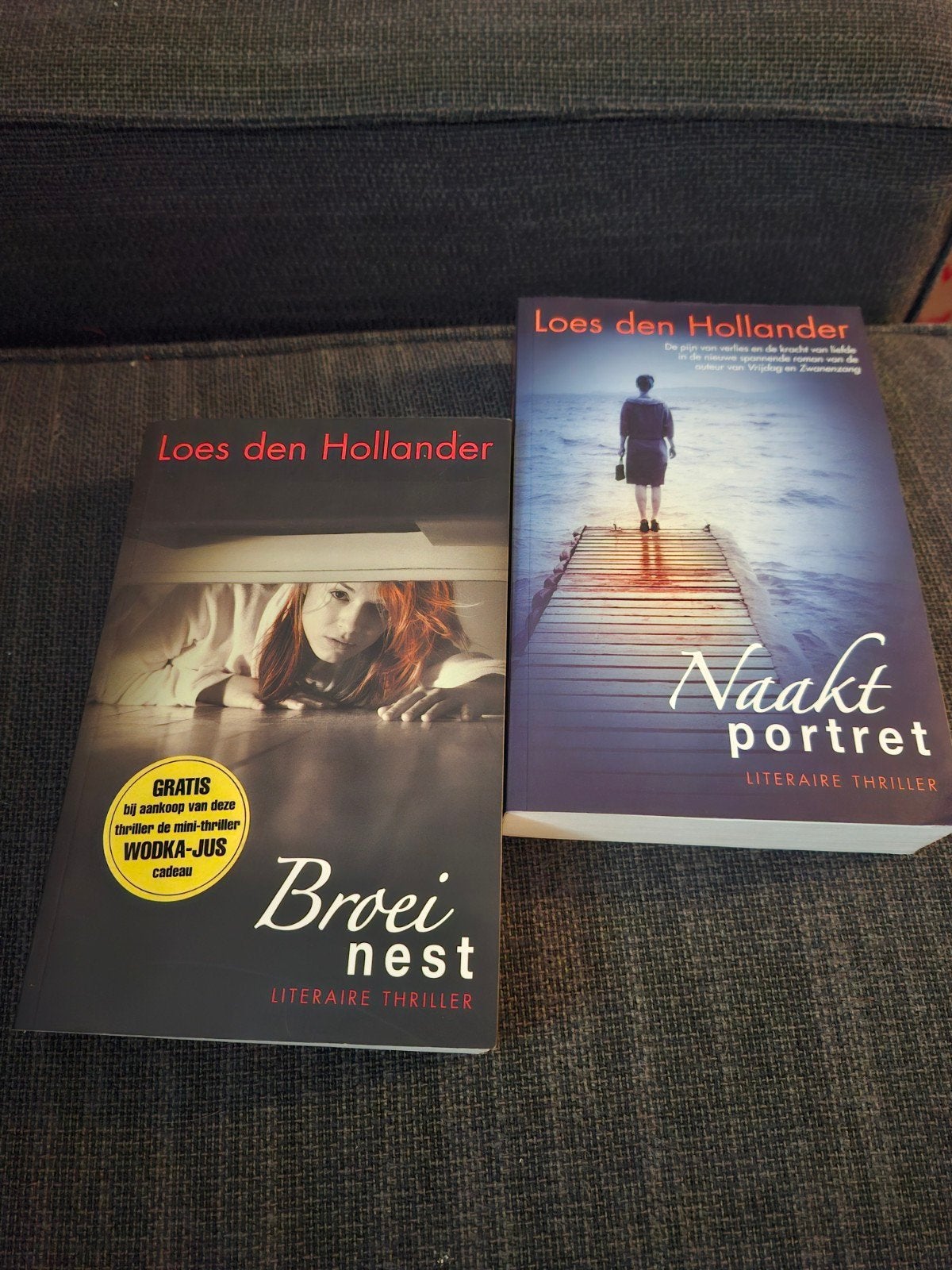 2 thrillers van Loes dHollander: Broeinest en Naakt Portre, Boeken, Ophalen of Verzenden, Zo goed als nieuw, Loes den Hollander