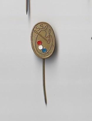 volmetaal speld SSG met schilderspalet, Ophalen of Verzenden, Overige onderwerpen, Speldje of Pin