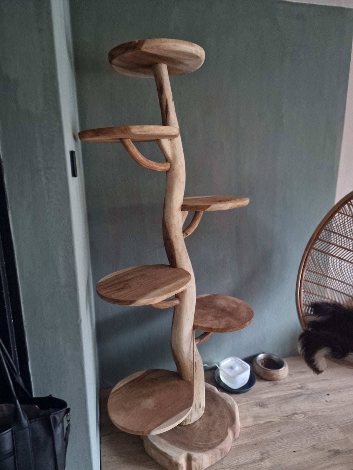Prachtige nieuwe Krabpaal van DSB living, Dieren en Toebehoren, Ophalen, Nieuw, Krabpaal