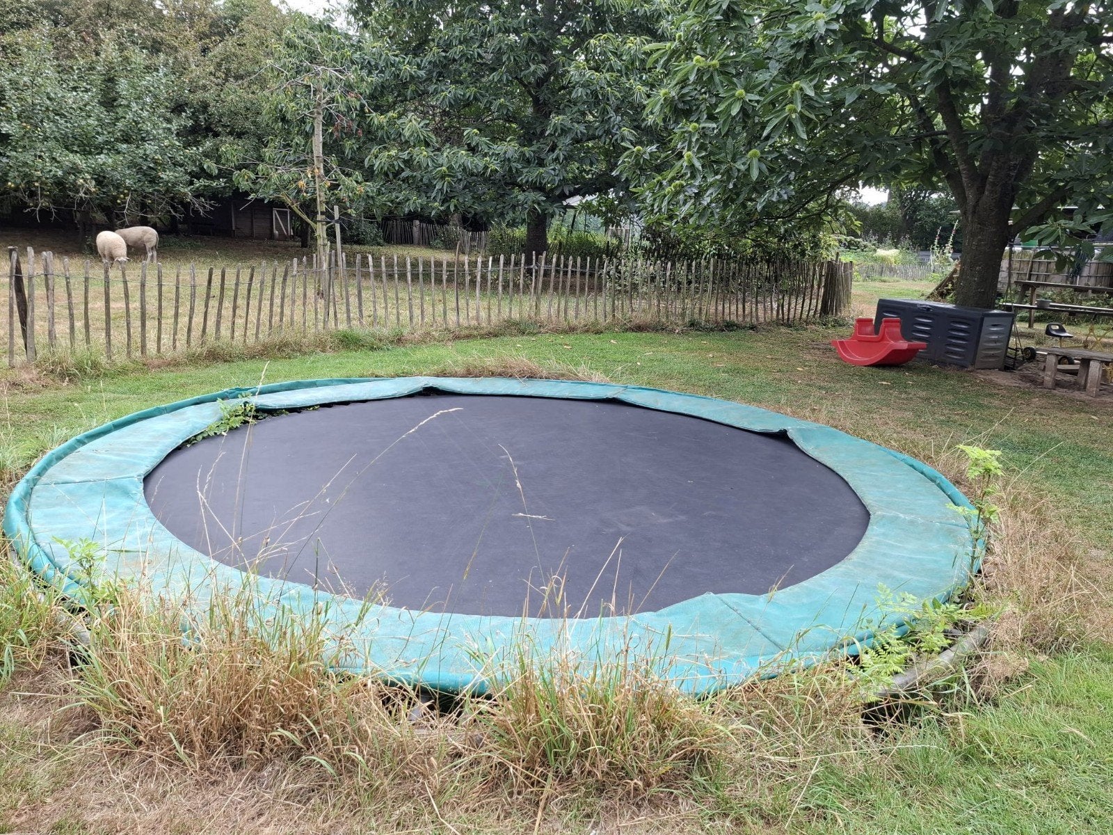 Gebruikte trampoline 410, Ophalen, Gebruikt