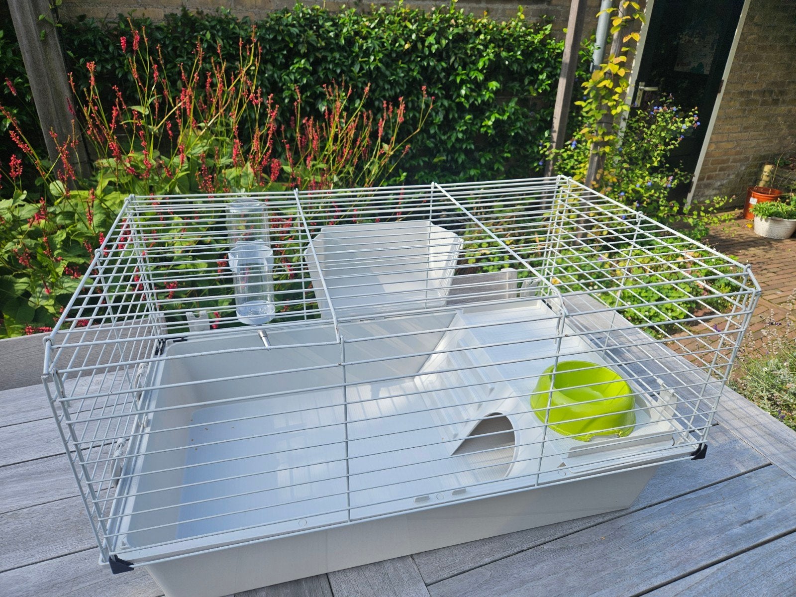 Caviakooi of konijnenkooi Ferplast 80 x 48 x 42, Kooi, 110 cm of meer, Zo goed als nieuw, Cavia