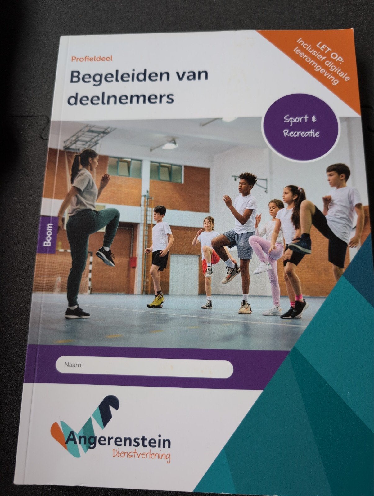 Angerenstein Sport & Recreatie profieldeel | combipakket, Ophalen of Verzenden, Zo goed als nieuw, Overige niveaus, Nederlands