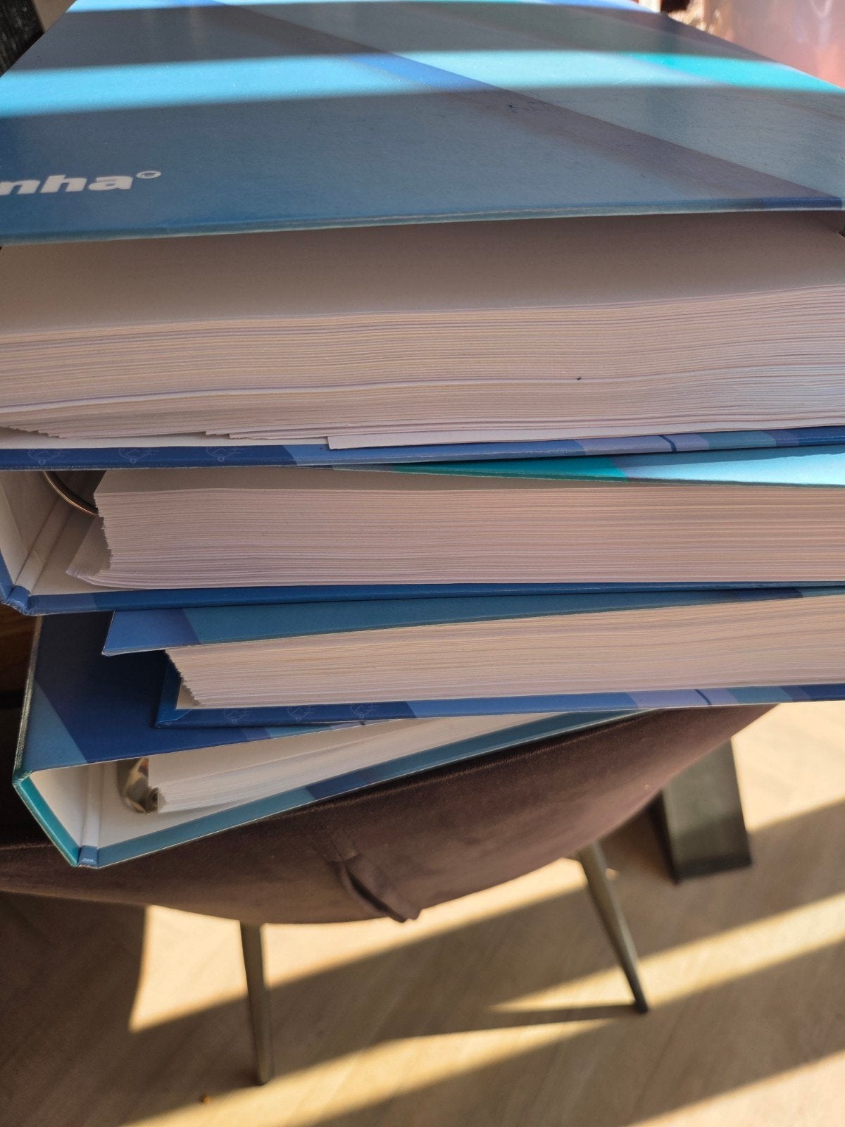 NHA Directiesecretaresse Opleiding - Complete Set, NHA, MBO, Gamma, Ophalen